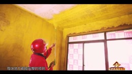 【陕西千百炼】百合花园