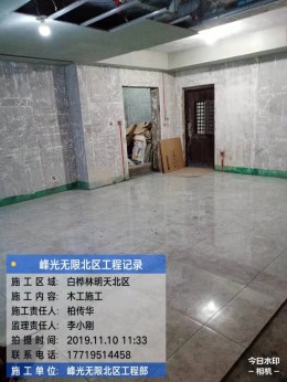 白桦林明天