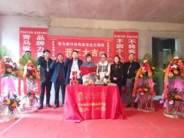 【青马设计机构】紫楹台