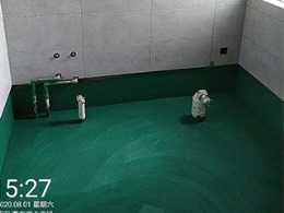 紫薇西棠