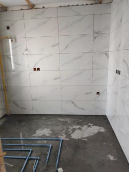 白桦林施工中