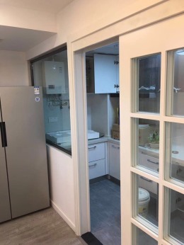 陕西紫苹果装饰林河春天工地实景展示