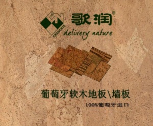 公司介绍
